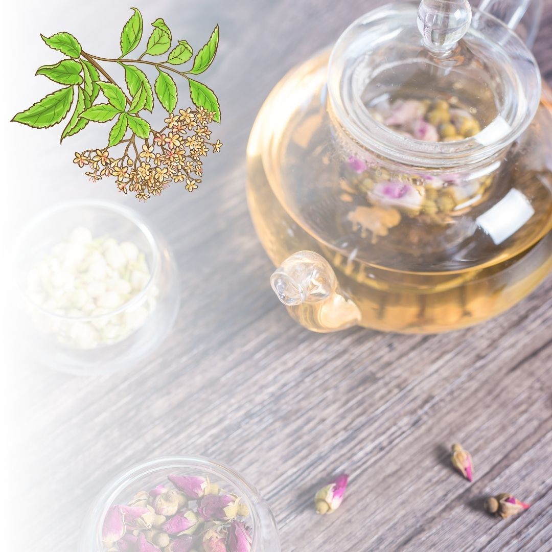 Teekanne aus Glas mit Blütentee, Holunderblütenzweig